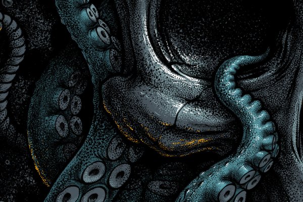 Kraken 24 at