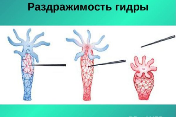 Войти в кракен